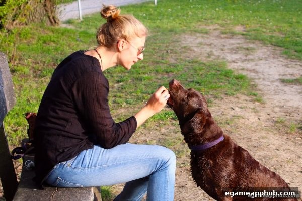 电子游戏软件解析：炸金花游戏中的理性心态与合规策略
