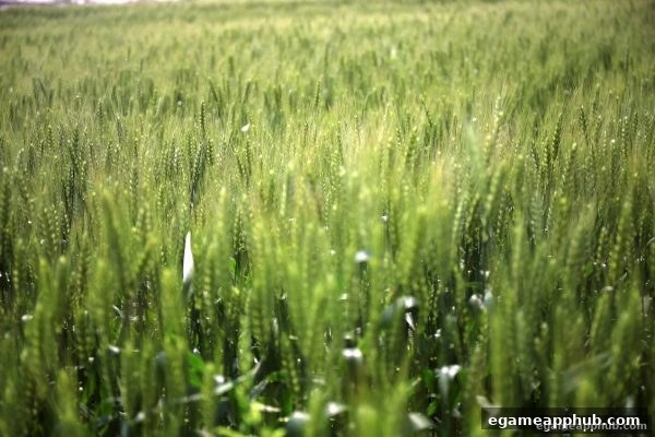 电子游戏软件独家解读：免费旋转奖励机制如何影响平台评级？